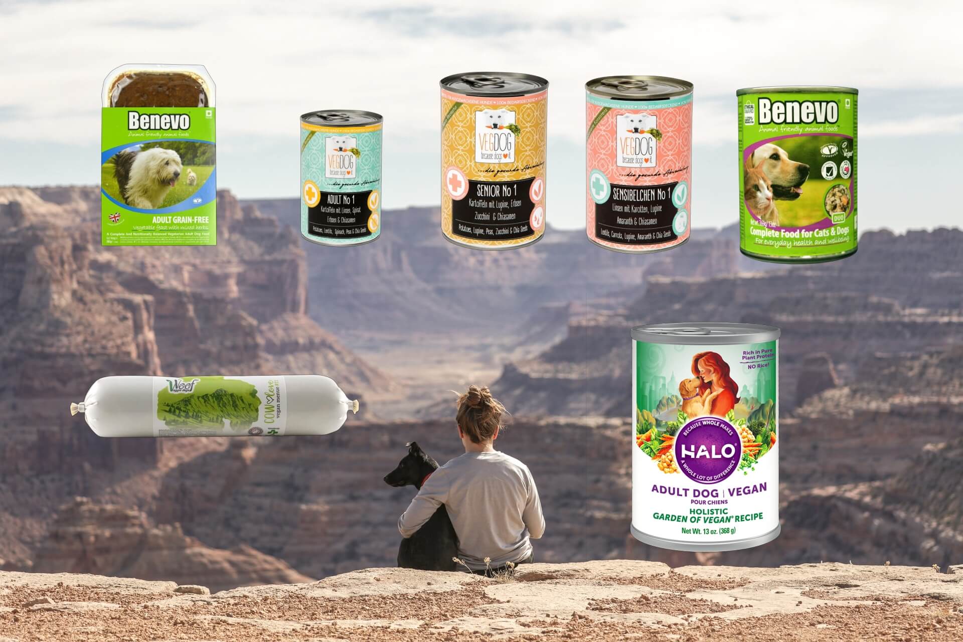 wet vegan dog food choices article banner